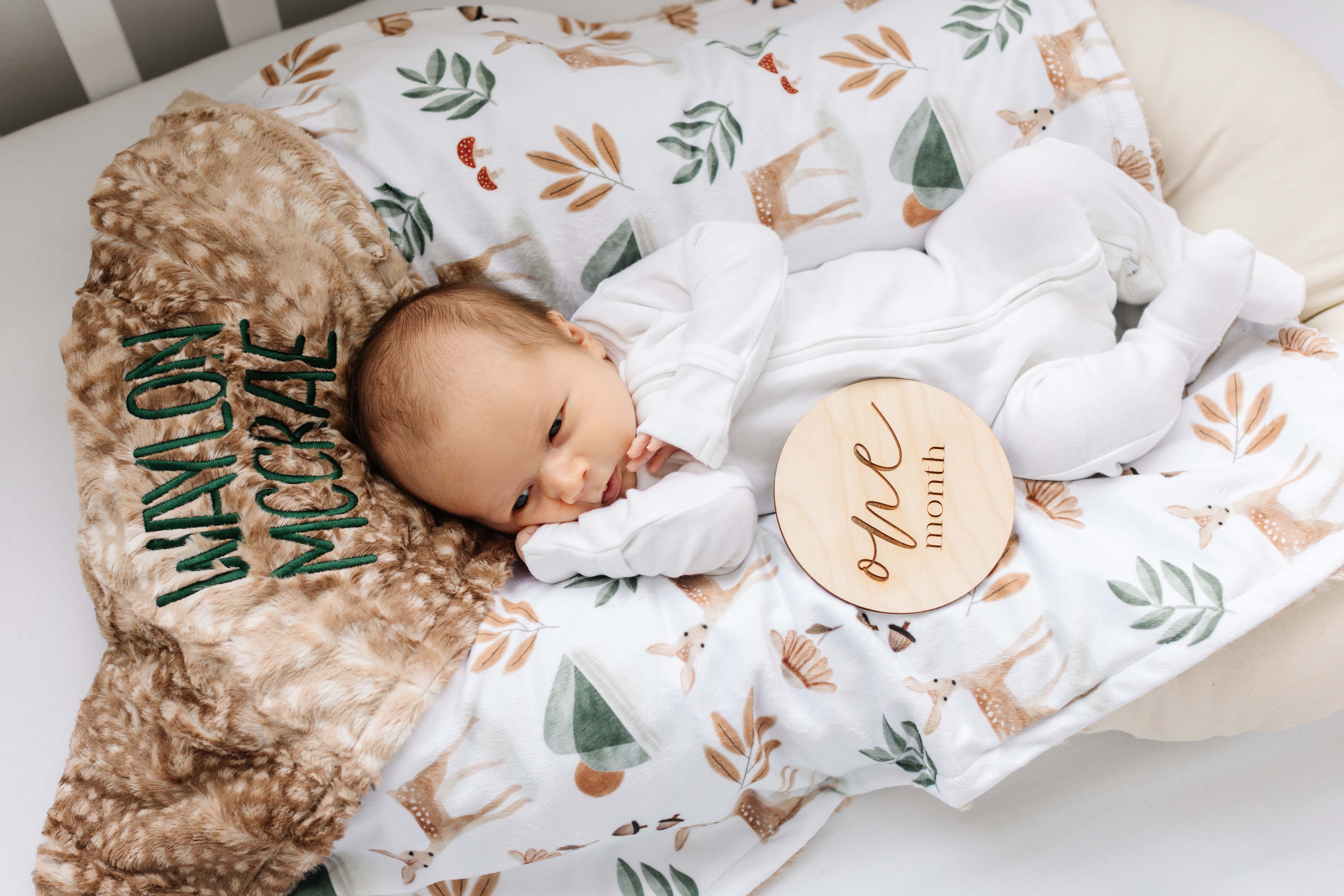 Baby Blanket- WESTERN FEATHERS- cuddle blanket- minky blanket- boho bedding- boy baby outlets bedding- boy nursery boy crib blanket- rust- woodland